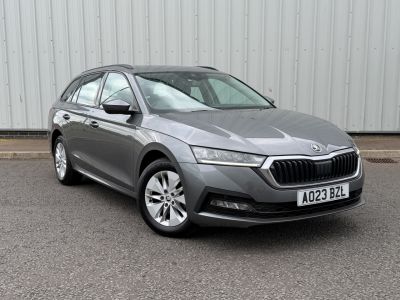 2023 Škoda Octavia